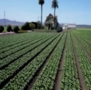 Exploitation agricole